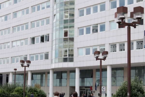 parthenopecentrodirezionale92-l