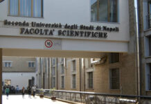 Il semestre filtro, un motivo in più per scegliere il Corso in inglese